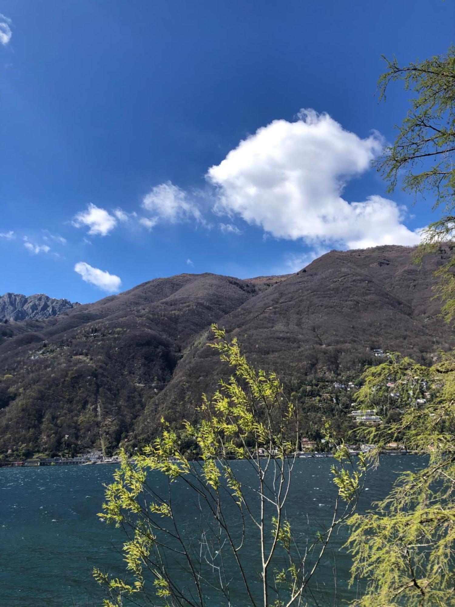 Al Grottino Bed & Breakfast Gambarogno Dış mekan fotoğraf