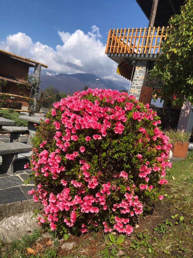 Al Grottino Bed & Breakfast Gambarogno Dış mekan fotoğraf