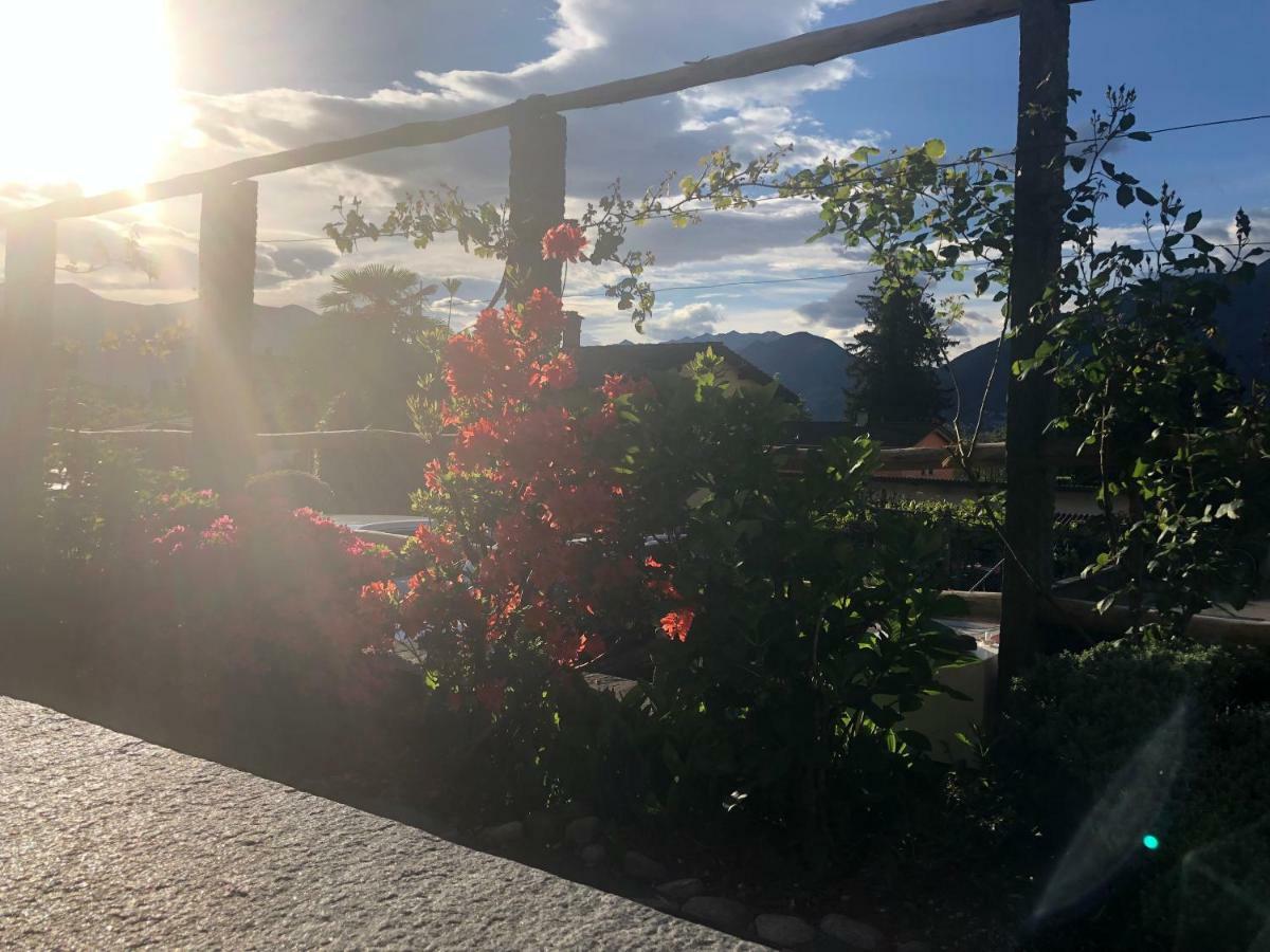 Al Grottino Bed & Breakfast Gambarogno Dış mekan fotoğraf